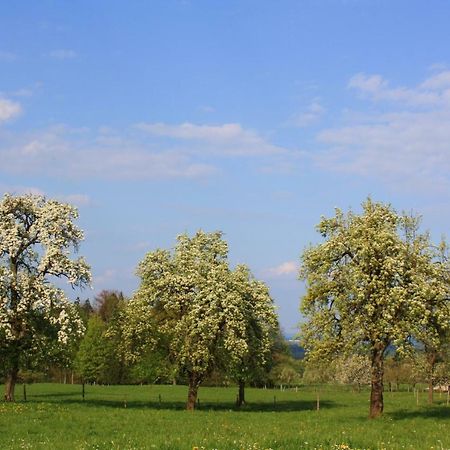 Appartements Apfelbluete Bad Feilnbach Zewnętrze zdjęcie