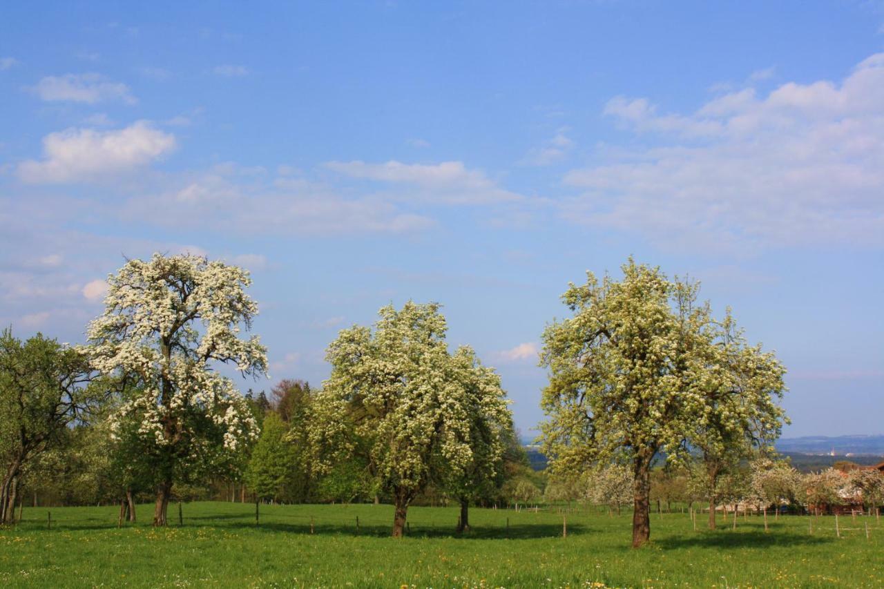 Appartements Apfelbluete Bad Feilnbach Zewnętrze zdjęcie